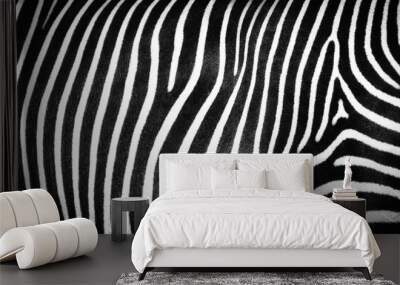 Black and white abstract striped texture of wild zebra skin Wall mural