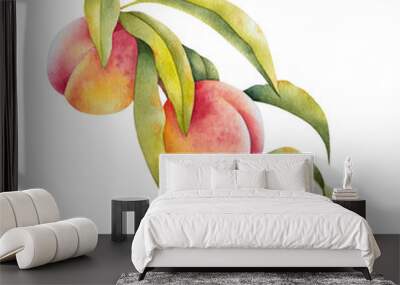 Hand drawn illustration of peaches on a branch with leaves. Watercolor isolated farm fresh fruit. Wall mural