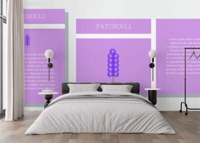 Patchouli. Information banner or tag in two designs. Description and useful properties of patchouli. Template for essential oil, spices. Brochure with empty space for text. Wall mural