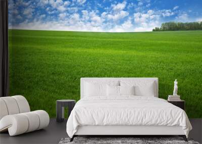 Summer landscape green field and blue sky. Wall mural