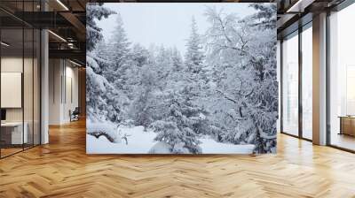 Fairy Winter Forest in Zyuratkul National Park. Wall mural