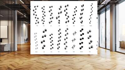 Large set of animal and bird trace steps imprints on white Wall mural