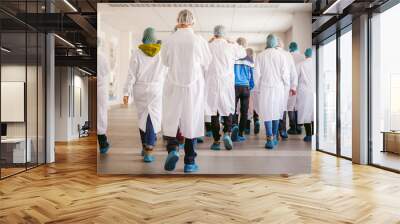 group of people in industrial production. people go back to the camera in white gowns and shoe cover Wall mural