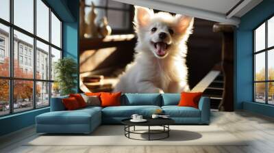 Adorable corgi dog playing a white piano in a bright, sunlit room on a beautiful, sunny day Wall mural