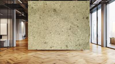 background, texture: gray rough concrete surface closeup Wall mural