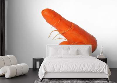 Carrot as a penis Wall mural