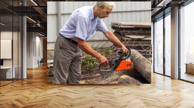 Man with chainsaw cutting the tree Wall mural