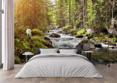 Mountain clean river with many rapids Wall mural