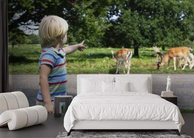 Little boy pointing his finger at herd of grazing spotted deer Wall mural