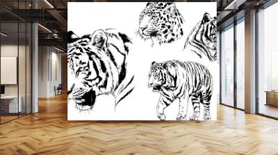 set of vector drawings on the theme of predators tigers are drawn by hand with ink tattoo logos Wall mural