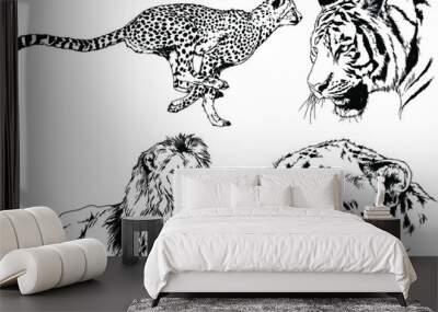 vector drawings sketches different predator , tigers lions cheetahs and leopards are drawn in ink by hand , objects with no background Wall mural