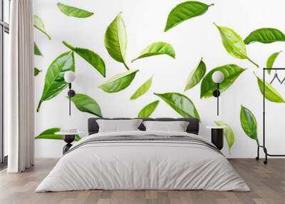 A vibrant arrangement of fresh green tea leaves scattered across a clean white background. The floating leaves create a dynamic, natural pattern with ample copy space Wall mural