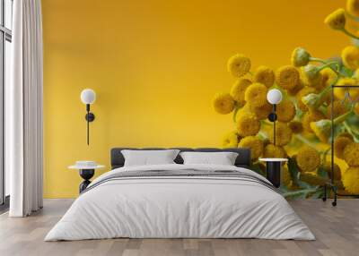 Yellow small tansy flowers on a yellow background Wall mural