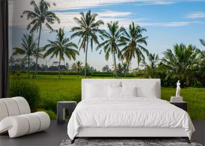 Village road between rice fields with palm trees in the background Wall mural