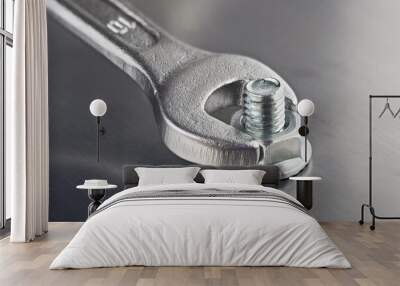 Wrench tightens  bolt in steel billet. Spanner, bolt, screw and nuts. Wall mural