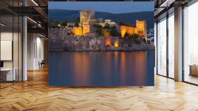 Bodrum Castle Wall mural