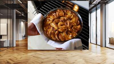 Fresh out of oven apple tart with cinnamon. Cropped shot of woman's hands taking out the pie baked to golden crust from the electric stove. Close up, copy space, top view, background. Wall mural