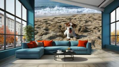 Funny looking jack russell terrier puppy playing with rubber ball at the beach. Adorable broken coated doggy with a chew toy by the sea. Copy space, background. Wall mural