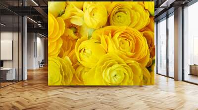 Macro shot of beautiful bouquet of yellow ranunculus flowers with visible petal texture structure. Close up composition with bright patterns of flower buds with a lot of copy space for text. Top view. Wall mural