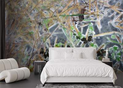 eisblumen Wall mural