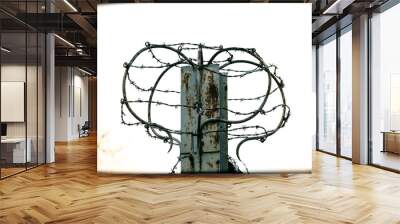 barbed wire isolated Wall mural