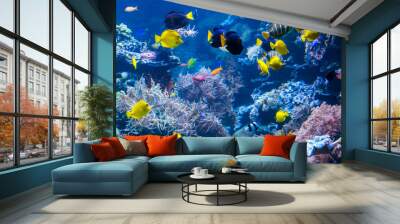 beautiful underwater world with  tropical fish Wall mural