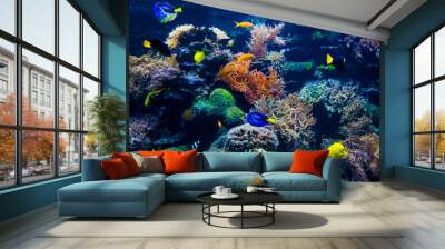 beautiful underwater world Wall mural