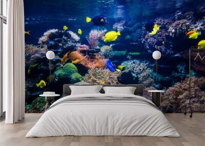 Colorful coral reef with fish and stone Wall mural