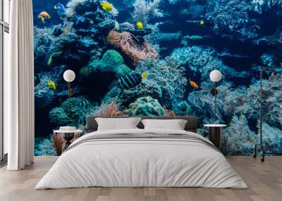 Colorful underwater offshore rocky reef with coral and sponges and small tropical fish swimming by in a blue ocean Wall mural