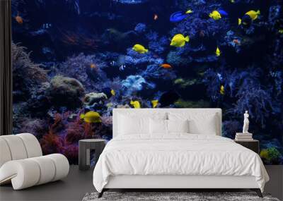 tropical Fish on a coral reef. Underwater coral fish Wall mural