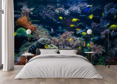 underwater coral reef landscape  with colorful fish Wall mural