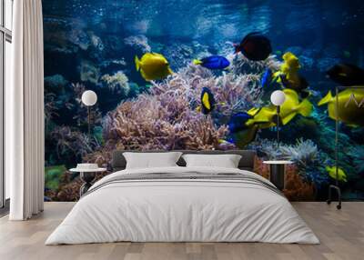 underwater coral reef landscape  with colorful fish Wall mural