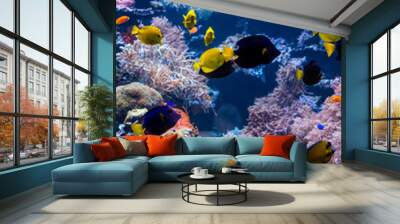 Underwater Scene With Coral Reef And Tropical Fish Wall mural