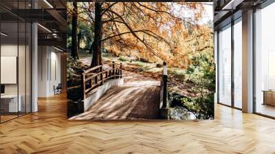 Very picturesque small bridge in the Park. Autumn foliage on a Sunny day. Wall mural