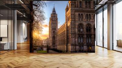 The Natural History Museum Wall mural