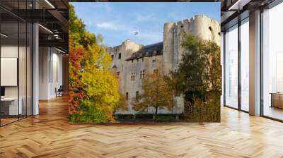 donjon de Niort Wall mural