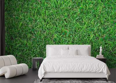 A vibrant expanse of green grass fills the backyard, basking in the warmth of the spring sun while creating a serene atmosphere Wall mural