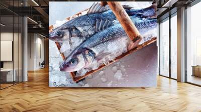 two whole fresh loup de mer Wall mural