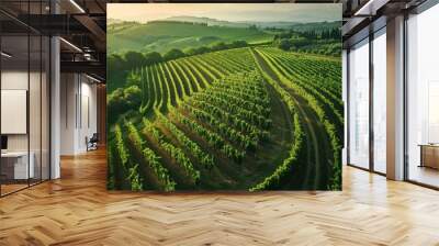 Overhead drone shot of a maze-like vineyard in Tuscany, Italy, late afternoon, highlighting the geometric beauty and green hues, for travel and wine enthusiasts. Wall mural