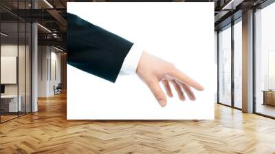 Caucasian male hand composition isolated Wall mural