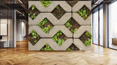 Earth ground covered with tiles Wall mural