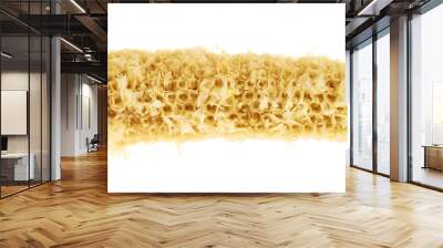 Fully eaten cornstick isolated Wall mural