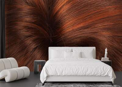 hair fragment as a background composition Wall mural