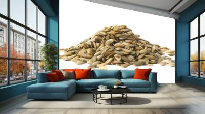 pile of pumpkin seeds isolated Wall mural