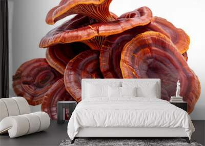 Cluster of Red Reishi Mushrooms with Glossy Surfaces Wall mural