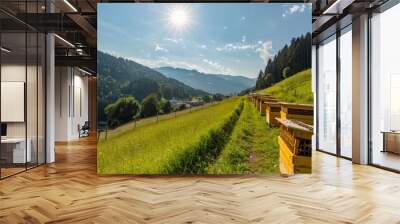 Idyllic Panorama of Beehives in Grass with Wooden Boxes Under Sunlight Wall mural