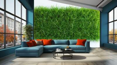 Lush Green Grass Rectangle Isolated for Stunning Photographic Detail Wall mural