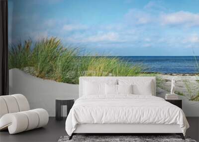 Baltic Sea Beach with Dunes and Ocean View - Panorama Wall mural