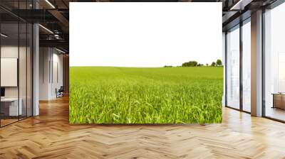 Meadow Panorama in Summertime - Transparent PNG Background Wall mural