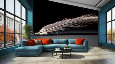 He watches a long bird feather, mesmerized by its beauty. Wall mural